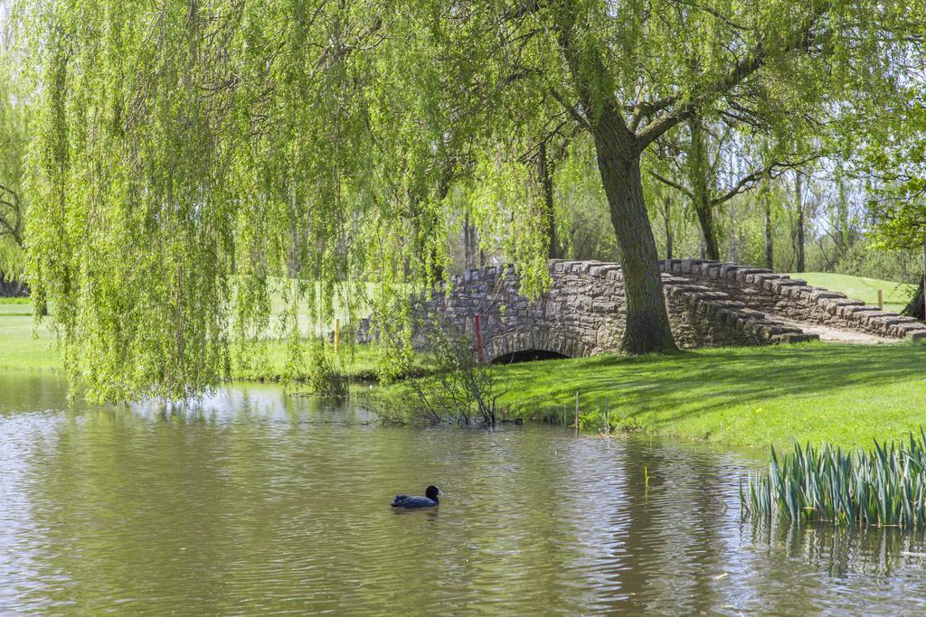 Dudsbury Golf Club - Hotel And Spa ファーンダウン エクステリア 写真